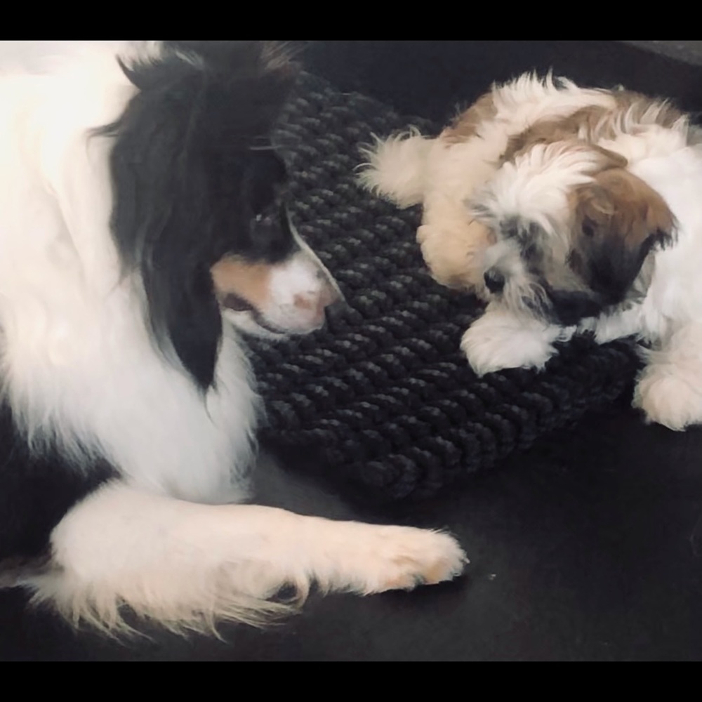 Meet your Posher, Monica - Picture 4 of 8